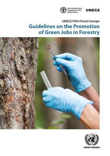 Guidelines on the promotion of green jobs in forestry