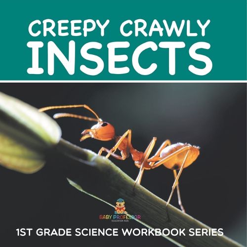 Cover image for Creepy Crawly Insects