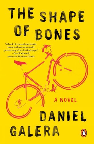 Cover image for The Shape Of Bones: A Novel