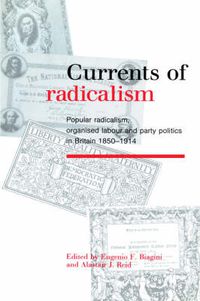 Cover image for Currents of Radicalism: Popular Radicalism, Organised Labour and Party Politics in Britain, 1850-1914