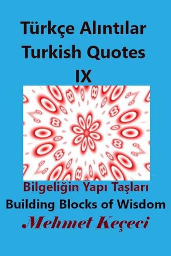 Cover image for Turkce Al&#305;nt&#305;lar IX