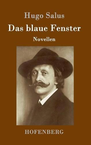 Cover image for Das blaue Fenster: Novellen
