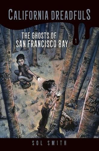 Cover image for The Ghosts of San Francisco Bay