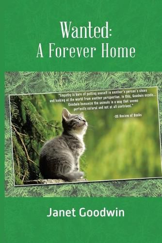 Cover image for Wanted: A Forever Home (New Edition)