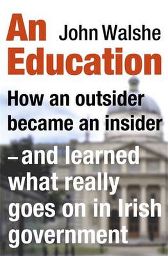 An Education: How an outsider became an insider - and learned what really goes on in Irish government
