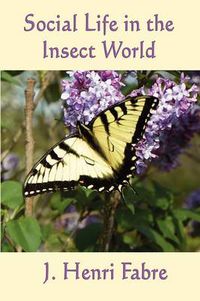 Cover image for Social Life in the Insect World