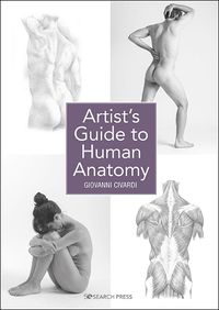 Cover image for Artist's Guide to Human Anatomy