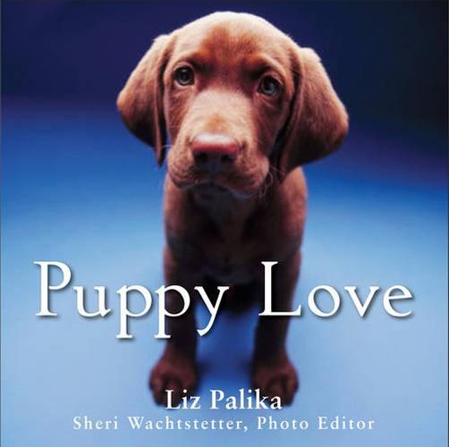 Cover image for Puppy Love