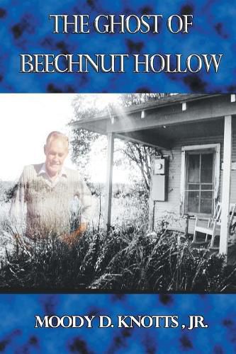 Cover image for The Ghost of Beechnut Hollow: Book Two of The Miracle of the Mountain Series