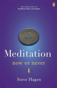Cover image for Meditation Now or Never