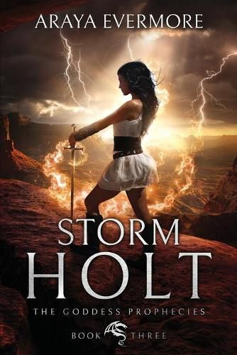 Cover image for Storm Holt