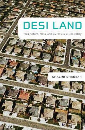 Cover image for Desi Land: Teen Culture, Class, and Success in Silicon Valley