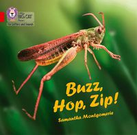 Cover image for Buzz, Hop, Zip! Big Book: Band 02a/Red a