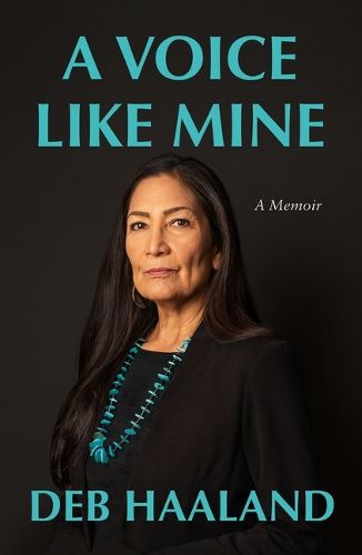 Cover image for A Voice Like Mine