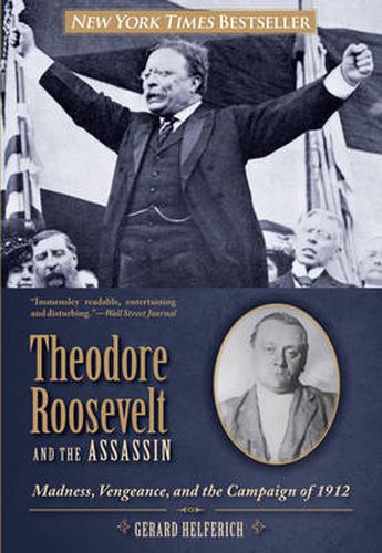Cover image for Theodore Roosevelt and the Assassin: Madness, Vengeance, and the Campaign of 1912