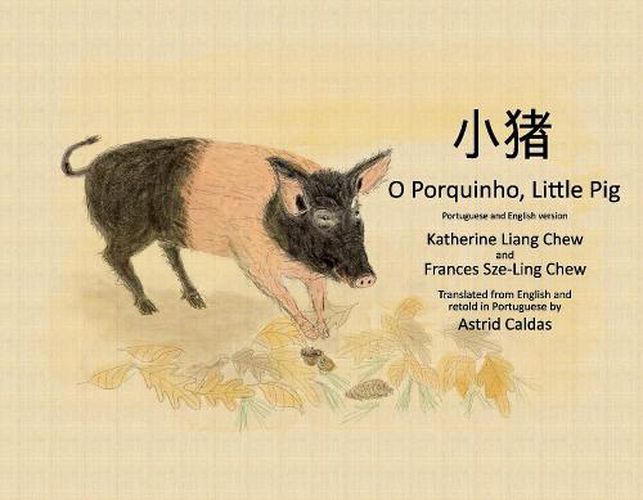 O Porquinho, Little Pig: Portuguese and English version