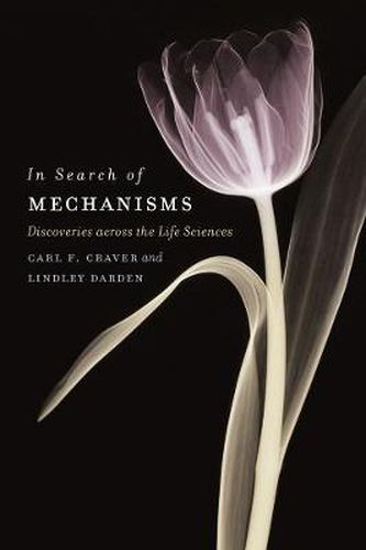 Cover image for In Search of Mechanisms