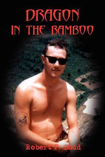 Cover image for Dragon in the Bamboo