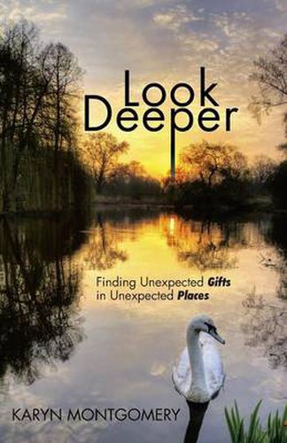 Cover image for Look Deeper: Finding Unexpected Gifts in Unexpected Places