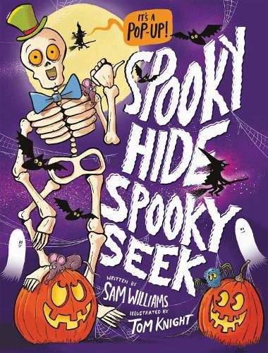 Cover image for Spooky Hide, Spooky Seek