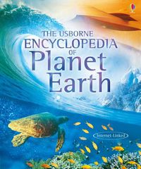 Cover image for The Usborne Encyclopedia of Planet Earth