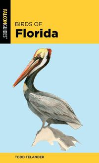 Cover image for Birds of Florida