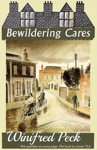 Cover image for Bewildering Cares