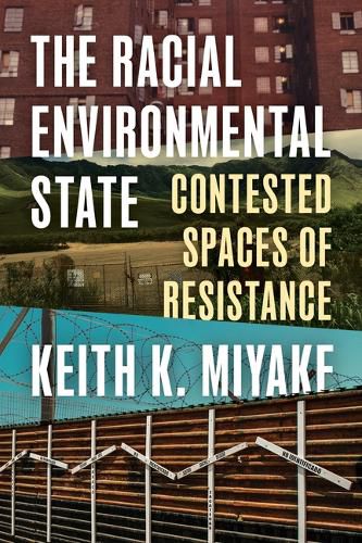 Cover image for The Racial Environmental State