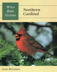 Cover image for Northern Cardinal