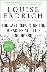 Cover image for The Last Report on the Miracles at Little No Horse