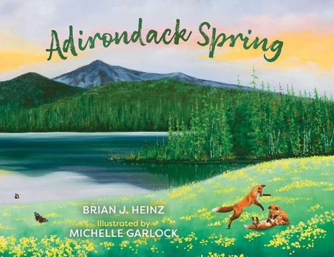 Cover image for Adirondack Spring
