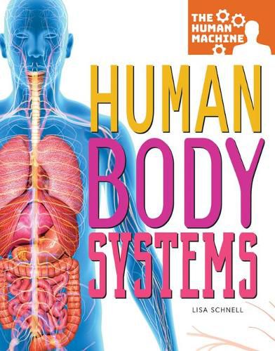 Cover image for Human Body Systems