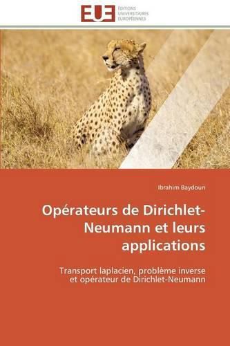 Cover image for Op rateurs de Dirichlet-Neumann Et Leurs Applications