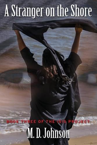 Cover image for A Stranger on the Shore: Book Three of The ISIS Project