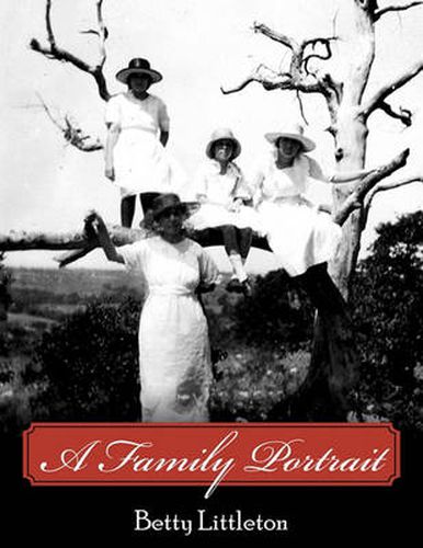 Cover image for A Family Portrait