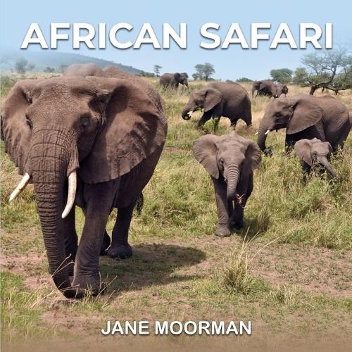 Cover image for African Safari