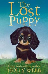 Cover image for The Lost Puppy