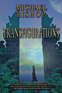 Cover image for Transfigurations