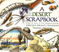 Cover image for A Desert Scrapbook