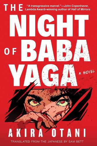 Cover image for The Night of Baba Yaga