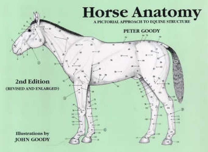 Horse Anatomy: A Pictorial Approach to Equine Structure