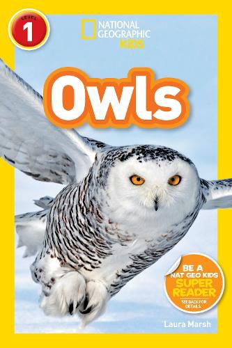 Cover image for Nat Geo Readers Owls Lvl 1