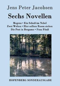 Cover image for Sechs Novellen