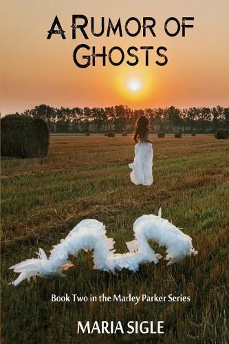 Cover image for Marley Parker A Rumor of Ghosts