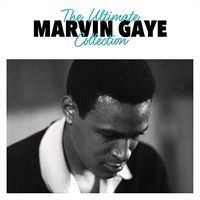 Cover image for Marvin Gaye - Ultimate Collection