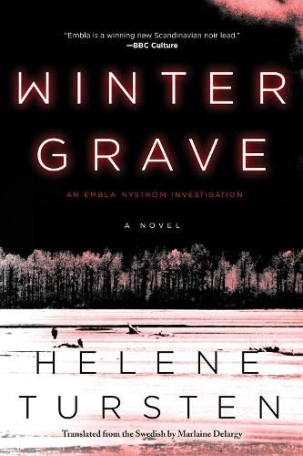 Cover image for Winter Grave
