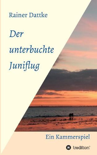 Cover image for Der unterbuchte Juniflug