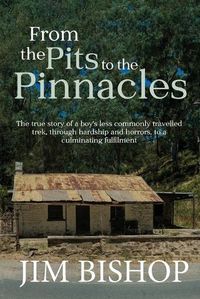 Cover image for From the Pits to the Pinnacles