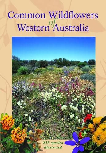 Common Wildflowers of Western Australia: 215 Species Illustrated