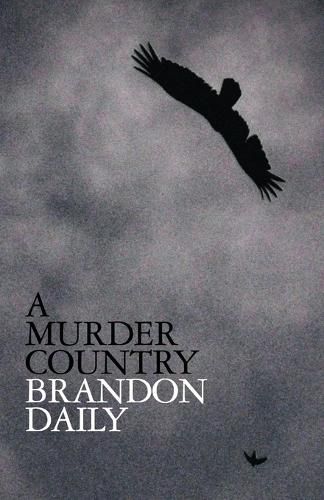 Cover image for A Murder Country